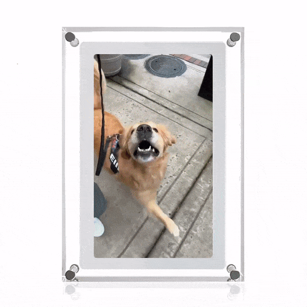 MomentFrame™ Digital Frame