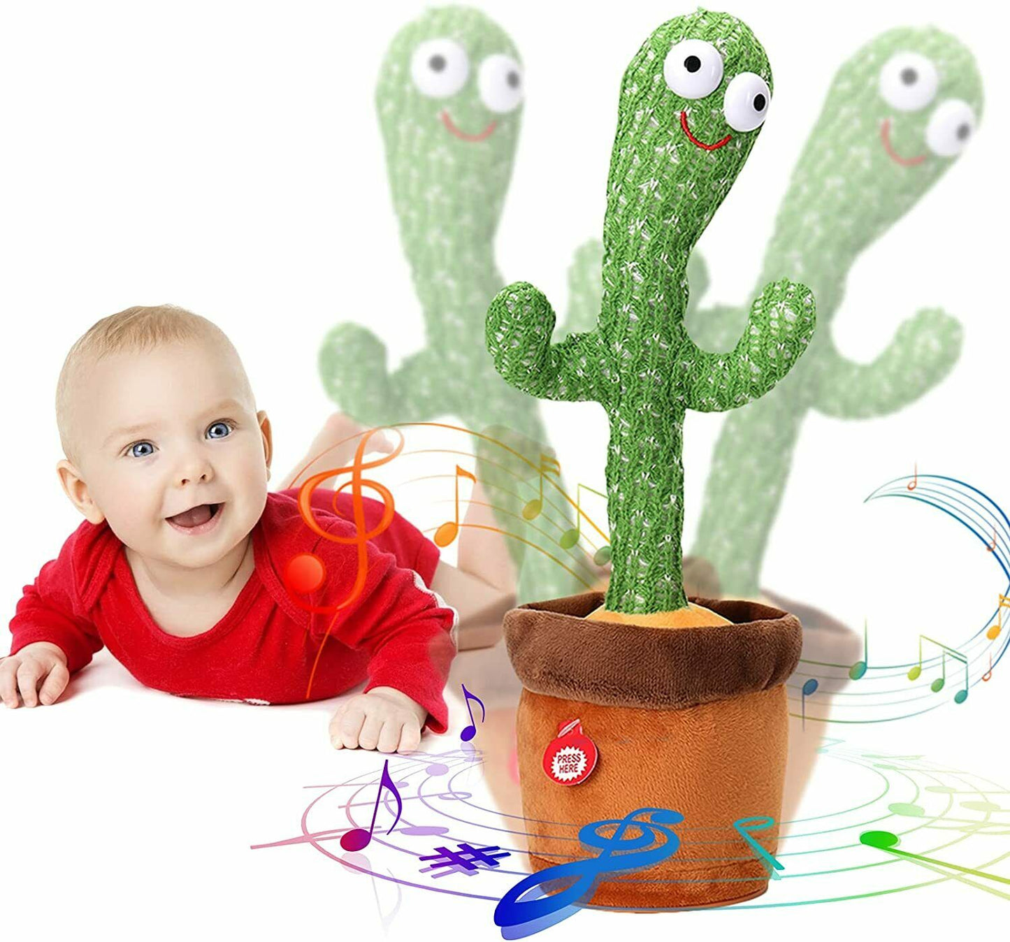 Dancing Cactus Plant