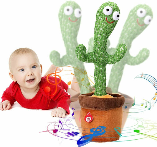 Dancing Cactus Plant