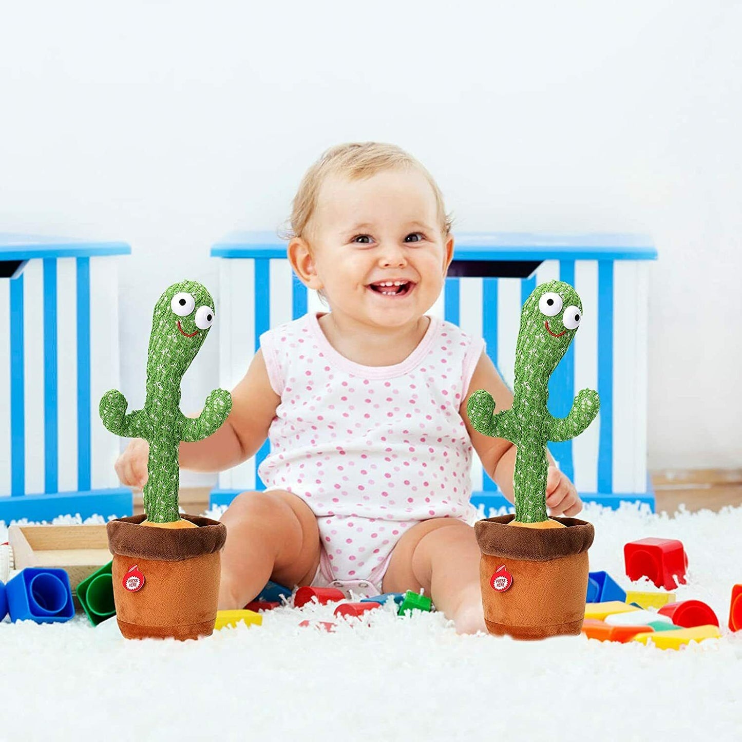 Dancing Cactus Plant
