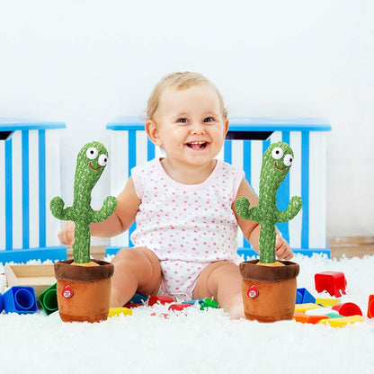 Dancing Cactus Plant