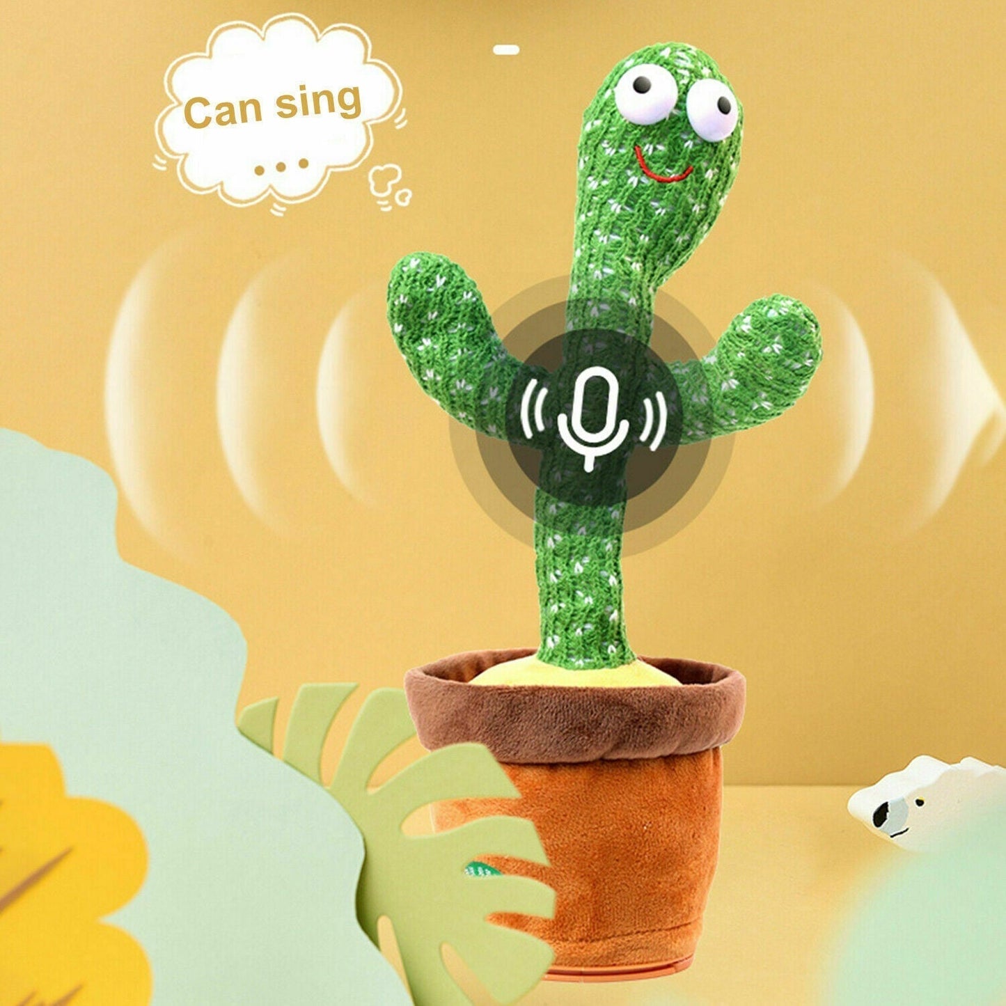 Dancing Cactus Plant