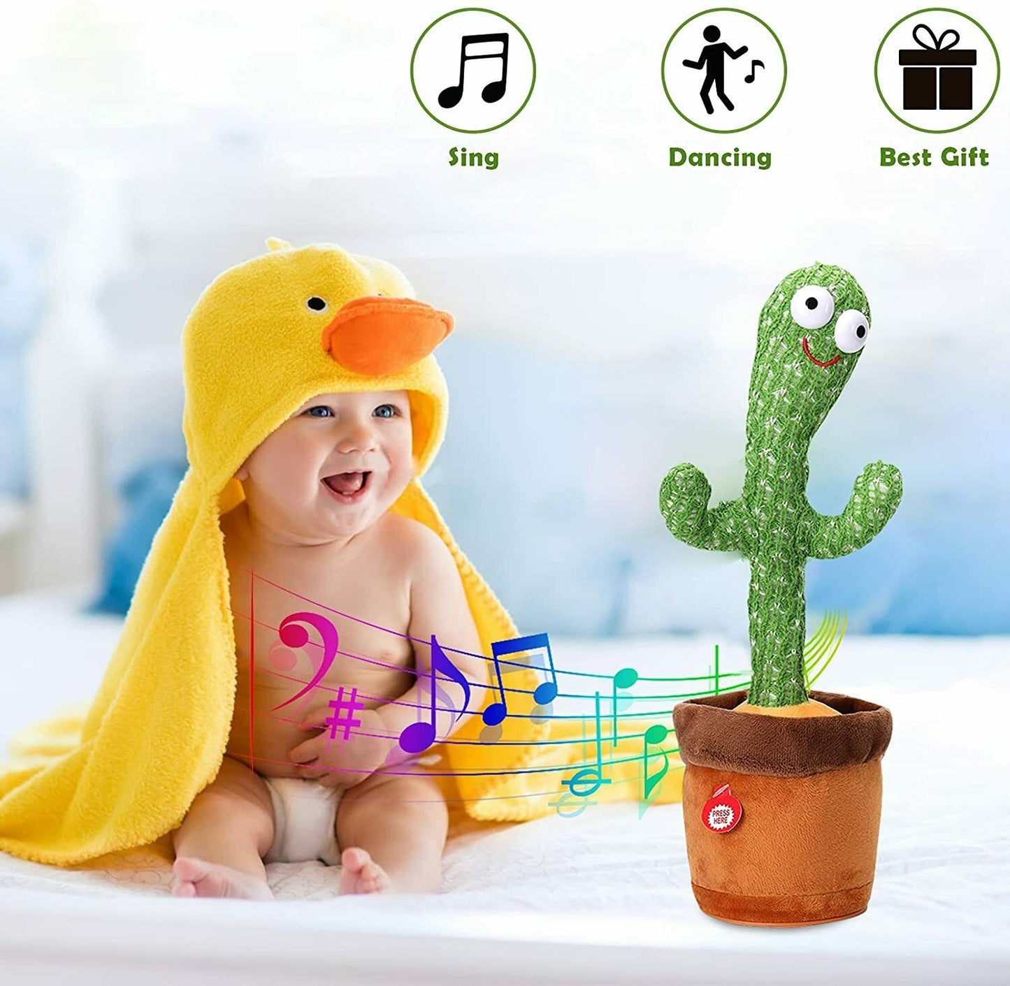 Dancing Cactus Plant