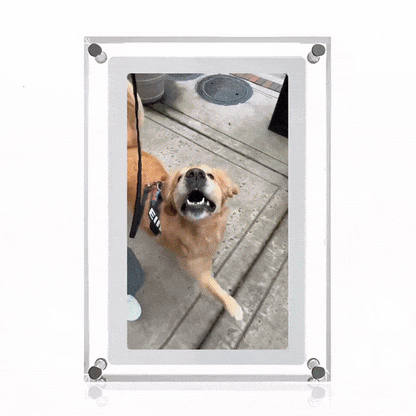 MomentFrame™ Digital Frame